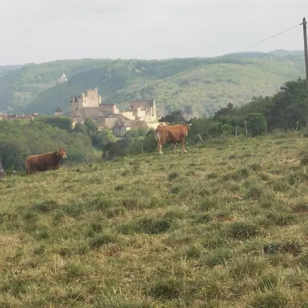 Dordogne Crobique *
